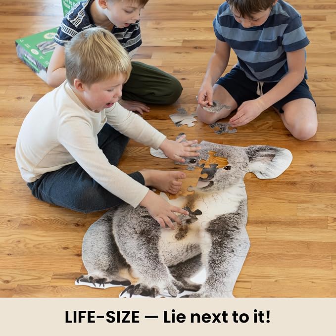 Koala Trivia Puzzle - 50 Piece Life-Size Koala Puzzle with Wildlife Facts on Every Piece | Educational Animal Gift for Kids & Families | Livuzzle