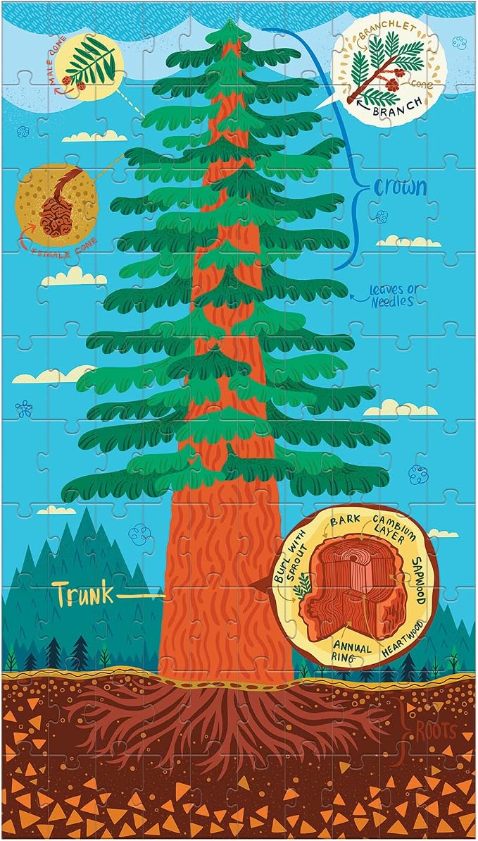 Plant Anatomy Science Puzzle Set from Mudpuppy - Includes Three 100 - Piece Puzzles with Colorful Illustrations, Ages 6+, Trifold Insert with Fun Science Facts Included