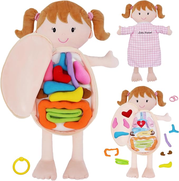 June Garden 18" Little Patient Emily Plush Anatomy Doll - Soft Educational Toy with Removable Human Organs - Learn Basic Anatomy for Toddlers and Kids