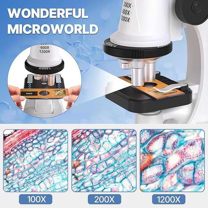61 Piece Kids Microscope Kit - 100X-1200X with LED Light, Science Kit with Blank and Prepared Slides, Phone Holder, Carrying Box, STEM Project Toy, Educational Gift for Children Ages 6-12