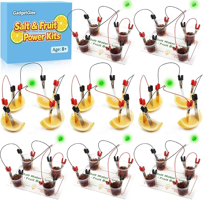 Fruit Saltwater Battery Science Circuit Kits for Kids 8-12, Bulk STEM Kit Potato Battery Lemon Light Bulb Food Experiments, Circuits for Class Electricity Projects Classroom Gifts 8 9 10 11 Year Old