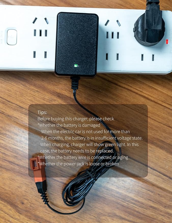24V Charger for Ride on Toys Compatible with 24 Volt Ford Bronco Raptor Best Choice Products Kid trax huffy torex Replacement Parts for 28.8V Kids Electric Power Ride On Truck