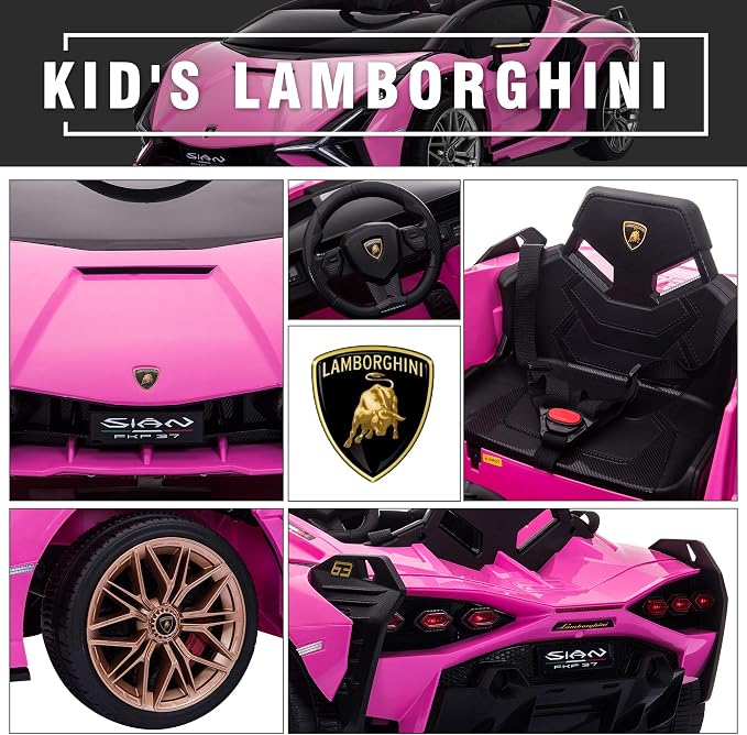Licensed Lamborghini SIAN Kids Electric Ride On Car by TOBBI, Toddler 12V Battery Powered 4 Wheeler Driving Vehicle Toy with Remote Control/Safety Belt/Horn & LED Lights for Children Age 1-6-Pink
