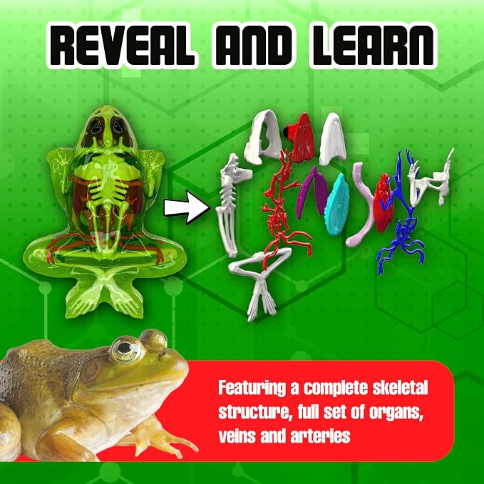 Dissect-It Upgraded Frog Dissection Toy Kit, Lab Experience Simulation Toys, STEM Toys for Animal Science, Anatomy, and Home Learning