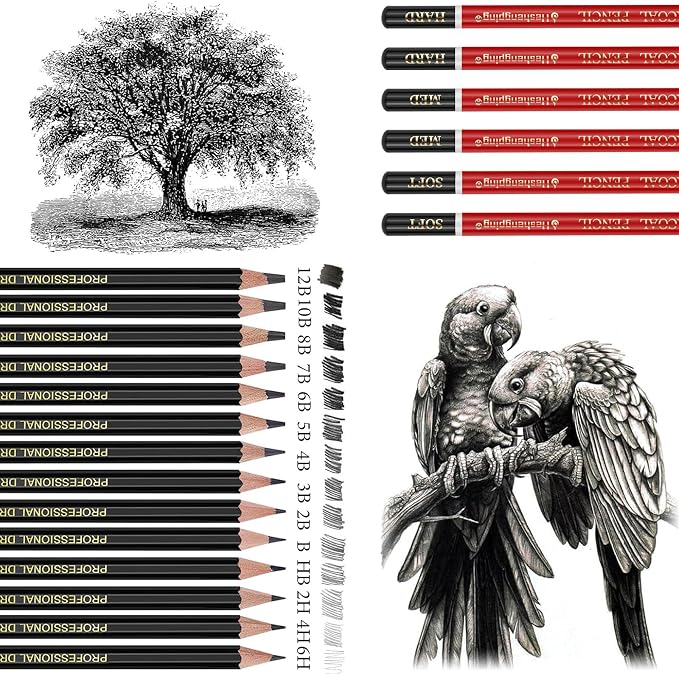 Heshengping Drawing Pencils Sketch Pencil Art Supplies Set for Adults beginners Professional Sketching Art Graphite Charcoal Blending Stump Pencils kit