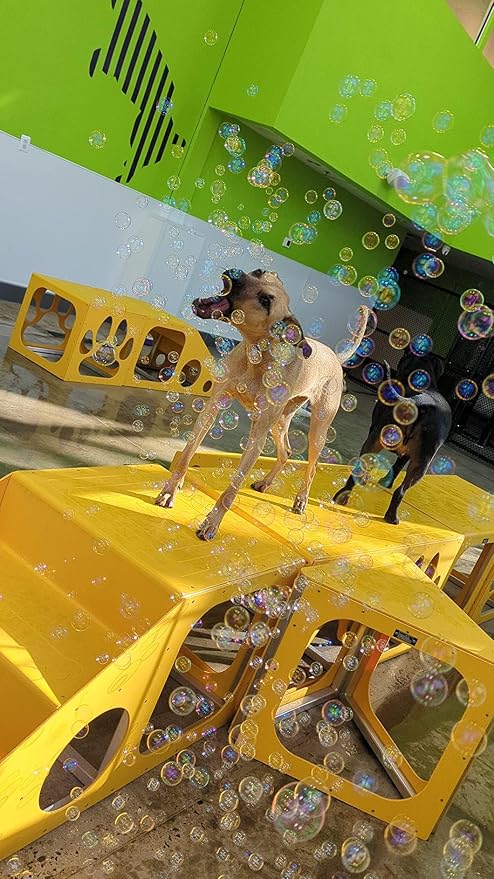 Bubbletastic Bacon Bubble Machine for Dogs - with Free 8oz. Bottle of Bacon Bubbles!