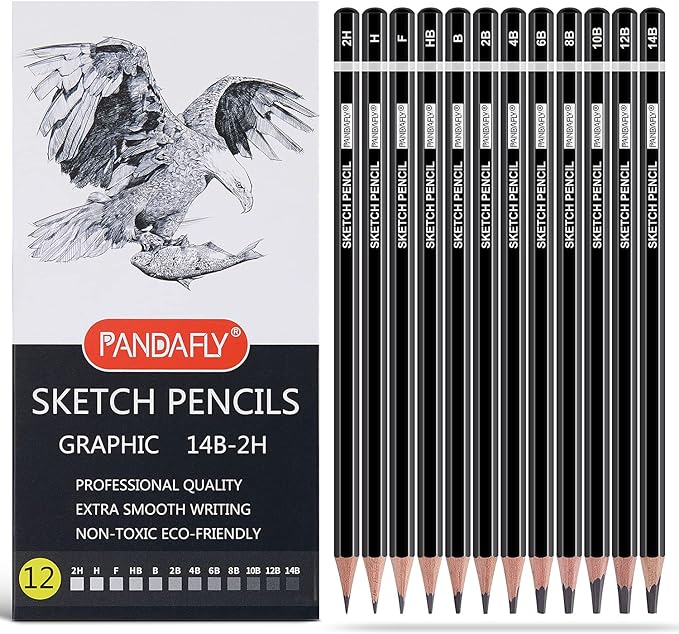 PANDAFLY 12 Pieces Professional Drawing Sketching Pencil Set, Graphite Pencils (14B - 2H), Ideal for Drawing Art, Sketching, Shading, Artist Pencils for Beginners & Pro Artists