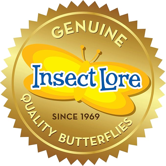 Insect Lore Raise and Release Butterfly Garden Kit – Caterpillar Habitat with redeemable Voucher – STEM-accredited Butterfly Growing Kit for Kids, Classrooms, and Homeschool Learning (Pack of 12)