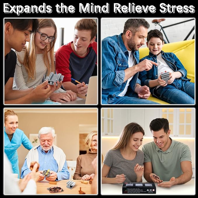 Skylety Brain Teaser Metal Puzzle Toys 3D Unfasten Interlocking Puzzle for Adults Teens Gifts(Stylish)