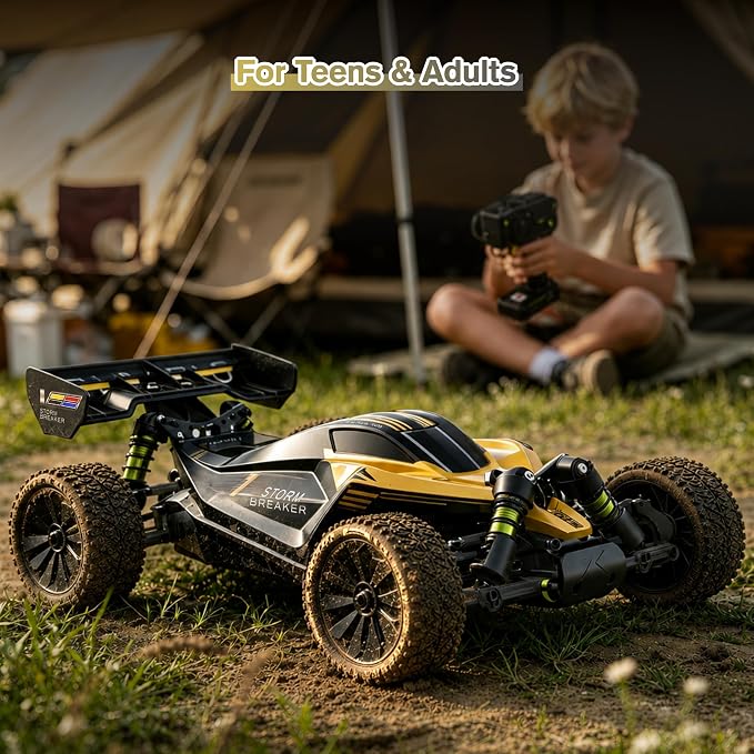RLAARLO 1/10 Brushless RC Cars, 4×4 Buggy, 50+ MPH, Carbon Fiber, Ages 14+ | 3650-2650KV Brushless Motor, 4WD, 3S LiPo, Alloy Chassis, Sealed Diffs, 20kg Servo, 6CH Radio, Waterproof, All-terrain