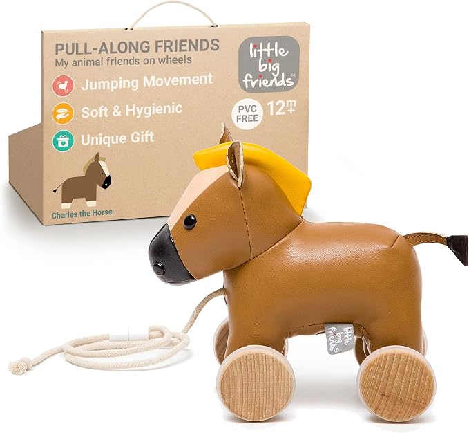Little Big Friends Horse Pull Toy for Toddlers | Soft Walking Toy with Adjustable Cord | Developmental Play | Charles The Horse
