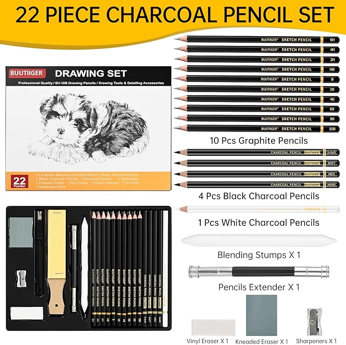 Drawing Sketch Pencil Set of 22 - Graphite Pencils (6H-10B), Black & White Charcoal Pencils, Art Pencil Kit for Sketching, Shading & Blending - Ideal for Artists, Adults, Teens, Beginners