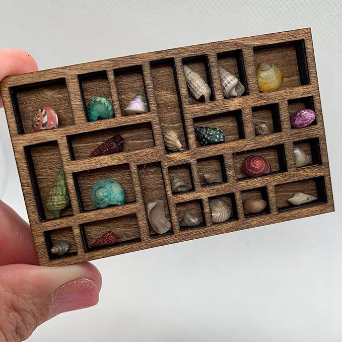5X 1:12 Miniature Trinket Shelf Crystal Shelf Decor Printers Tray