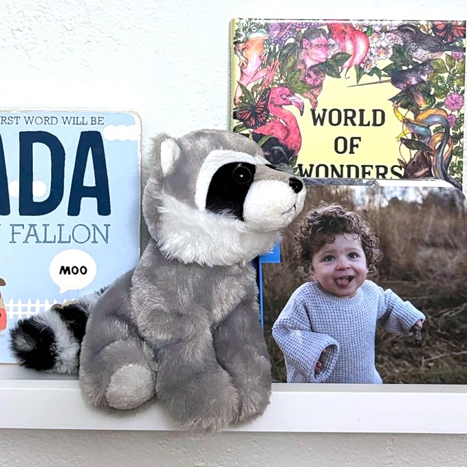 The Petting Zoo Raccoon Stuffed Animal Plushie, Gifts for Kids, Wild Onez Babiez Zoo Animals, Raccoon Plush Toy 6 inches