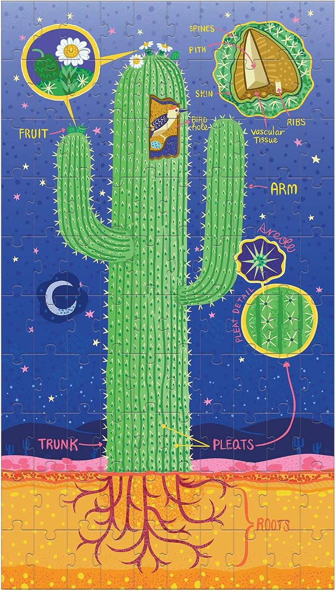 Plant Anatomy Science Puzzle Set from Mudpuppy - Includes Three 100 - Piece Puzzles with Colorful Illustrations, Ages 6+, Trifold Insert with Fun Science Facts Included