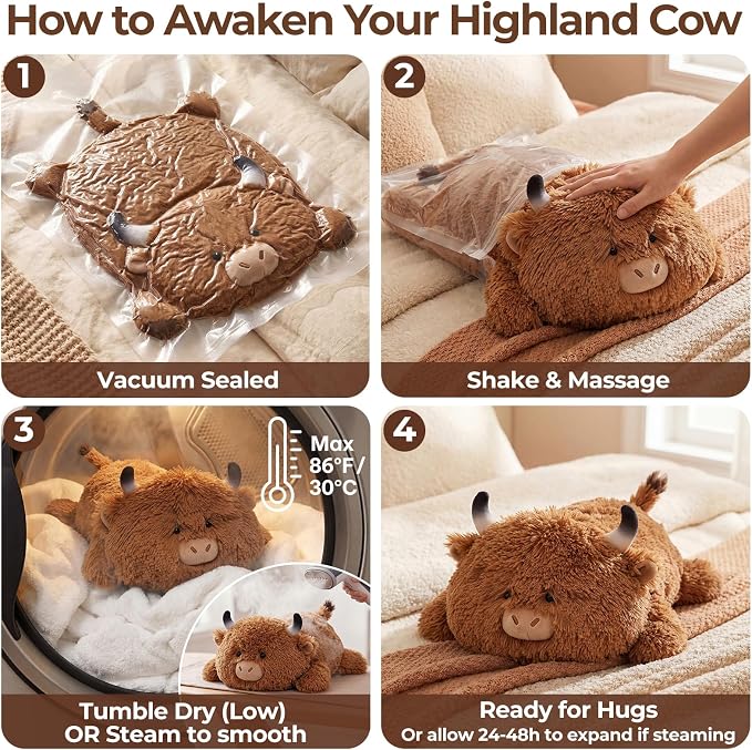 Mewaii Cute Highland Cow Plush Pillow, Kawaii Plushies Highland Cow Stuffed Animals, Squishy Plushies, Cuddle Plush Pillow for Kids & Girls (13 Inch)