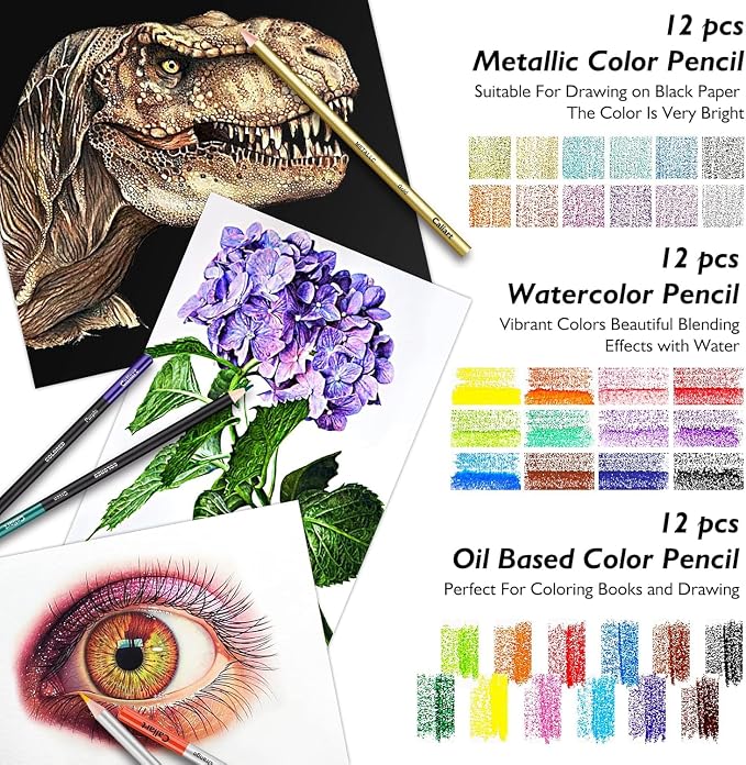 Caliart 176PCS Art Supplies Sketching Kit with 100 Sheets 3-Color Sketch Book, Graphite Colored Charcoal Watercolor & Metallic Pencils, Drawing Supplies Set for Artists Adults Beginners