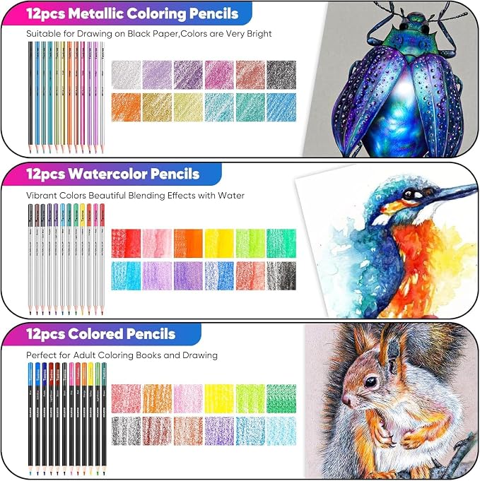 Taotree 81 Pack Art Supplies for Adults Artists Gifts, Pro Art Kit Drawing Pencils Set, Drawing Supplies Sketching Kit Sketch Book, Colored Graphite, Watercolor, Metallic, Charcoal Pencils Sketch Set