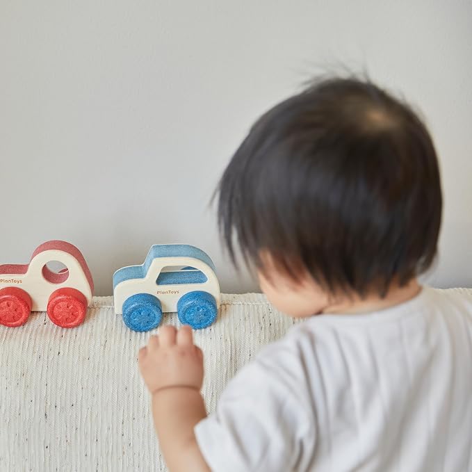 PlanToys® Wooden Timber Trail EV | Montessori Push and Roll Toy for Fine Motor Skills, Coordination and Cause and Effect Learning | Eco Friendly Baby Toy for Sensory and Active Play