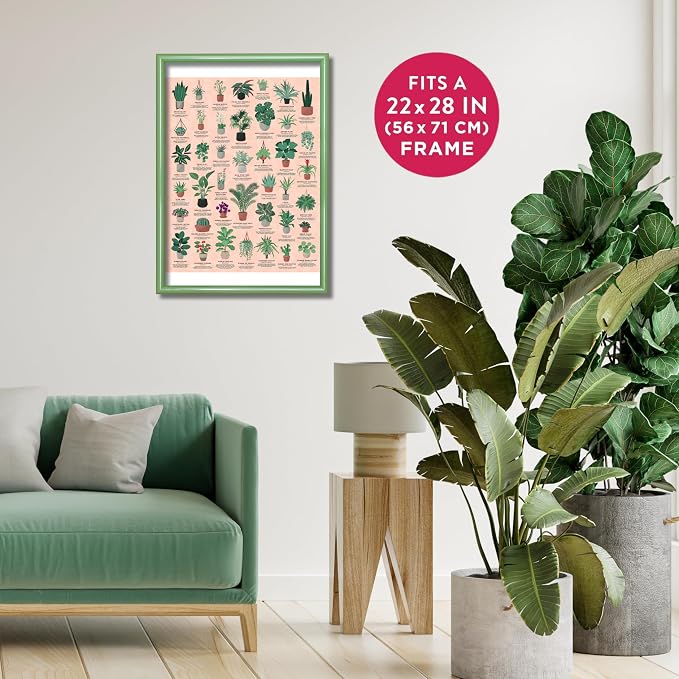 Ridley's Games: House Plants 1000-Piece Jigsaw Puzzle | Perfect for Plant Owners with Over 30 Unique Plants | Perfect Room Décor Once Completed | Storage Tube Included