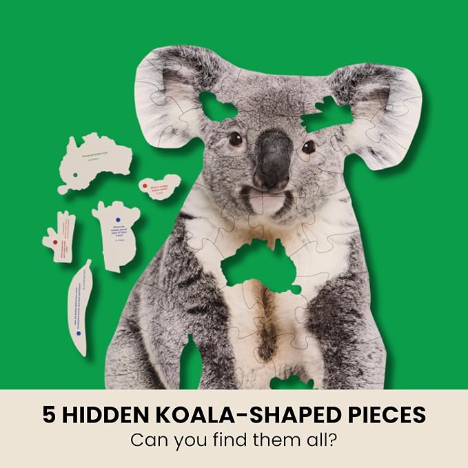 Koala Trivia Puzzle - 50 Piece Life-Size Koala Puzzle with Wildlife Facts on Every Piece | Educational Animal Gift for Kids & Families | Livuzzle