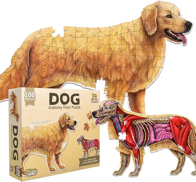 Dog Animal Anatomy Floor Puzzle | 100-Piece Double-Sided Jigsaw Puzzle | Large Floor Puzzle for Kids Ages 4–8, 3–5, 8–10 | Fun and Educational STEM Toy for Kids, Toddlers, and Families