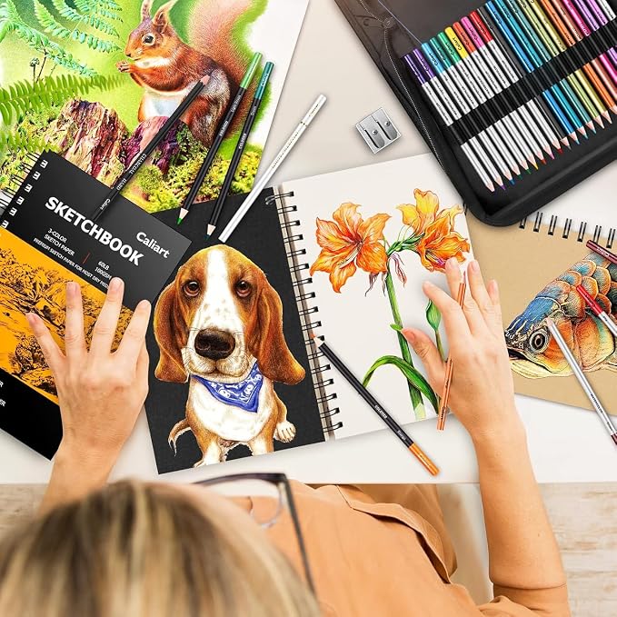 Caliart 176PCS Art Supplies Sketching Kit with 100 Sheets 3-Color Sketch Book, Graphite Colored Charcoal Watercolor & Metallic Pencils, Drawing Supplies Set for Artists Adults Beginners