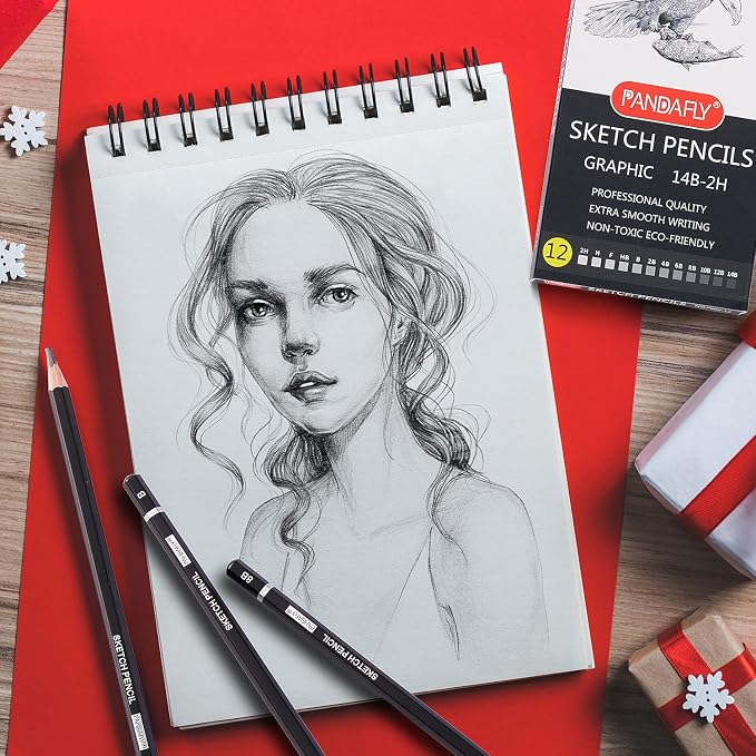 PANDAFLY 12 Pieces Professional Drawing Sketching Pencil Set, Graphite Pencils (14B - 2H), Ideal for Drawing Art, Sketching, Shading, Artist Pencils for Beginners & Pro Artists