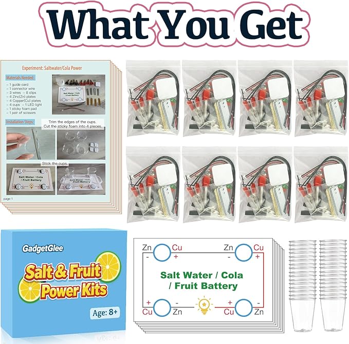 Fruit Saltwater Battery Science Circuit Kits for Kids 8-12, Bulk STEM Kit Potato Battery Lemon Light Bulb Food Experiments, Circuits for Class Electricity Projects Classroom Gifts 8 9 10 11 Year Old