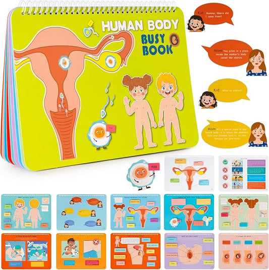 Freebear Montessori Busy Book for Kids, Human Body Anatomy Book for Toddlers, Preshool Kindergarten Learning Activities, Autism Sensory Toys, Gifts for Girls and Boys 4-7 Years- Human Body Procreation