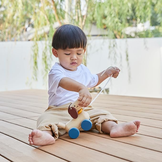 PlanToys® Puppy Wooden Push & Pull Toy | Montessori Inspired Walking Toy for Balance, Coordination & Active Play | Eco Friendly Toddler Movement Activity