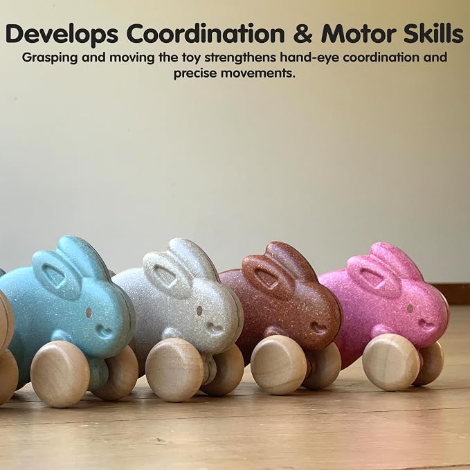 PlanToys® Brown Push Along Bunny Wooden Montessori Movement and Coordination Toy | Gross Motor, Rhythm and Cause & Effect Early Learning Activity | Eco Friendly Push Toy for Active Play