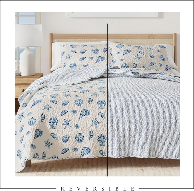 Great Bay Home Coastal Quilt Set - 2-Piece Twin/Twin XL Size Nautical Bedding Set - Lightweight, All-Season, Reversible Coral-Printed Bedspread (Blue Shells)