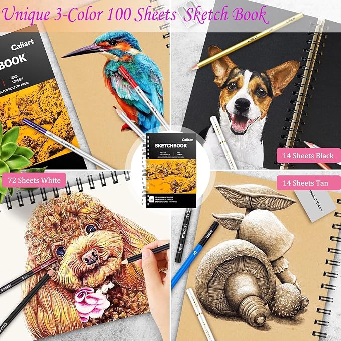Caliart 176PCS Art Supplies Sketching Kit with 100 Sheets 3-Color Sketch Book, Graphite Colored Charcoal Watercolor & Metallic Pencils, Drawing Supplies Set for Artists Adults Beginners