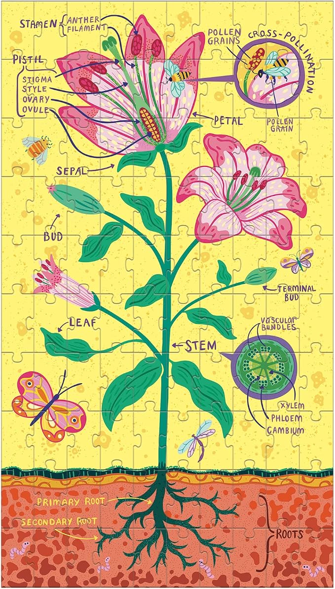 Plant Anatomy Science Puzzle Set from Mudpuppy - Includes Three 100 - Piece Puzzles with Colorful Illustrations, Ages 6+, Trifold Insert with Fun Science Facts Included