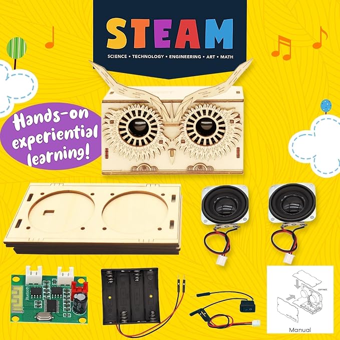 DIY Bluetooth Speaker Kit, Stem Projects for Kids Ages 8-12, Science Kits for Kids Age 12-14, STEM Learning Project, Science Gift for Boys Teens Age 10 11 12 13 14 15 16