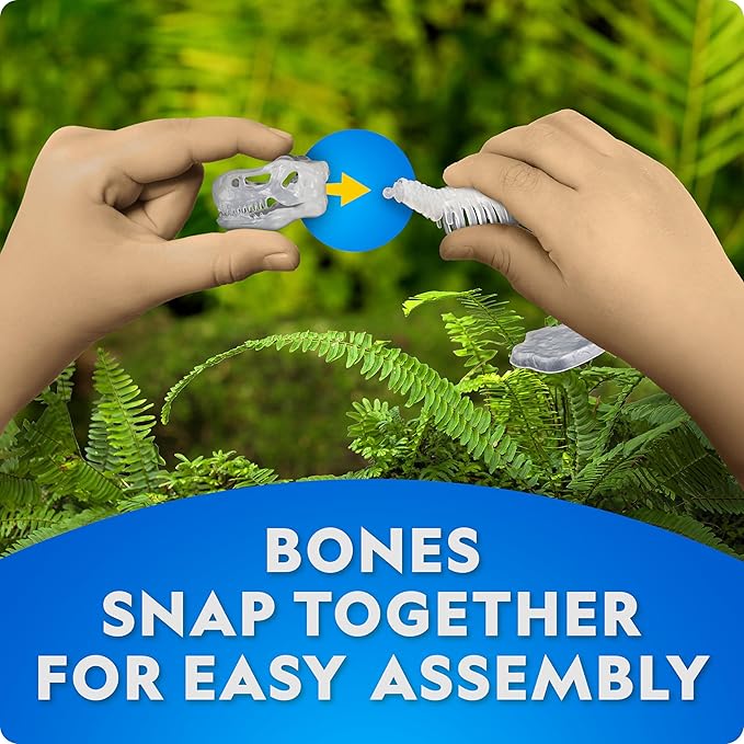 National Geographic Glow-in-The-Dark Dinosaur Skeleton Model Building Kit – Build Replica Velociraptor & T. rex Bones, Educational Dinosaur Egg Activity Kit, Fossils for Kids 5-7