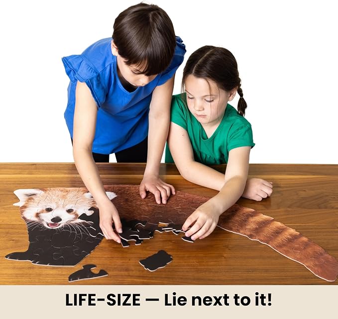 Red Panda Trivia Puzzle - 50 Piece Life-Size Red Panda Puzzle with Wildlife Trivia on Every Piece | Educational Animal Gift for Kids & Families | Livuzzle