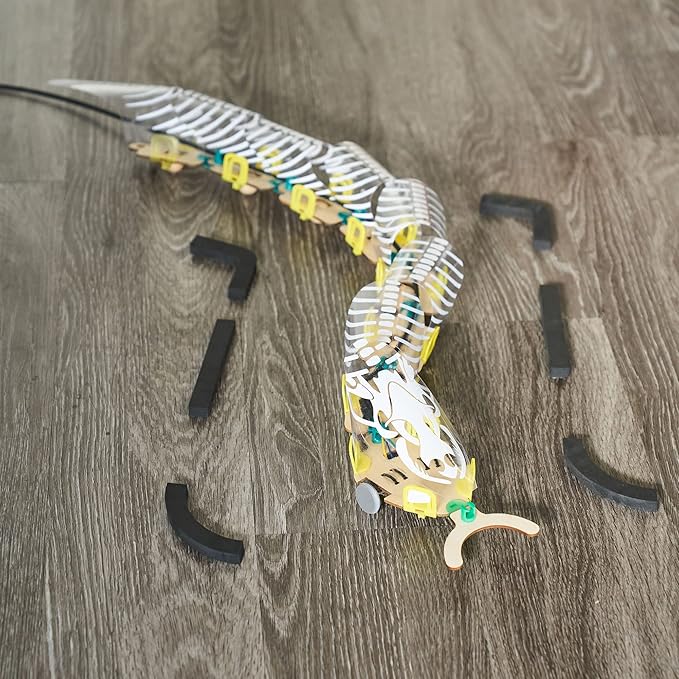 KiwiCo - Remote Controlled Snake Robot | DIY Robotics Engineering Building Kit | Science Exploration Activity & RC Learning Toy & Gift for Kids Ages 9+