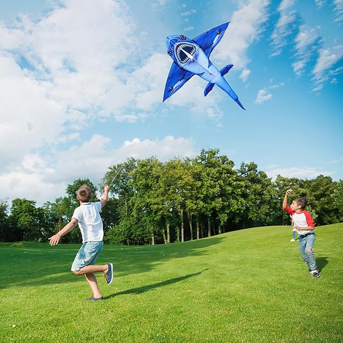 SGftre Complete Kite with Handle, Line & Accessories,Easy to Fly for Kids & Adults, Perfect for Beach, Park, Family Outdoor Activities