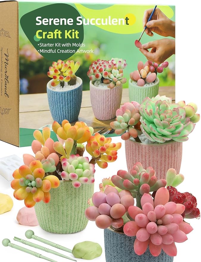 Microland Craft Kits for Teens Crafty Clay Kit for Succulents Flower Making Fun Adult Activities of Arts and Crafts Art Therapy Crafting Set Creative Gifts for Women Teen Girls Artist Gifts for Mom