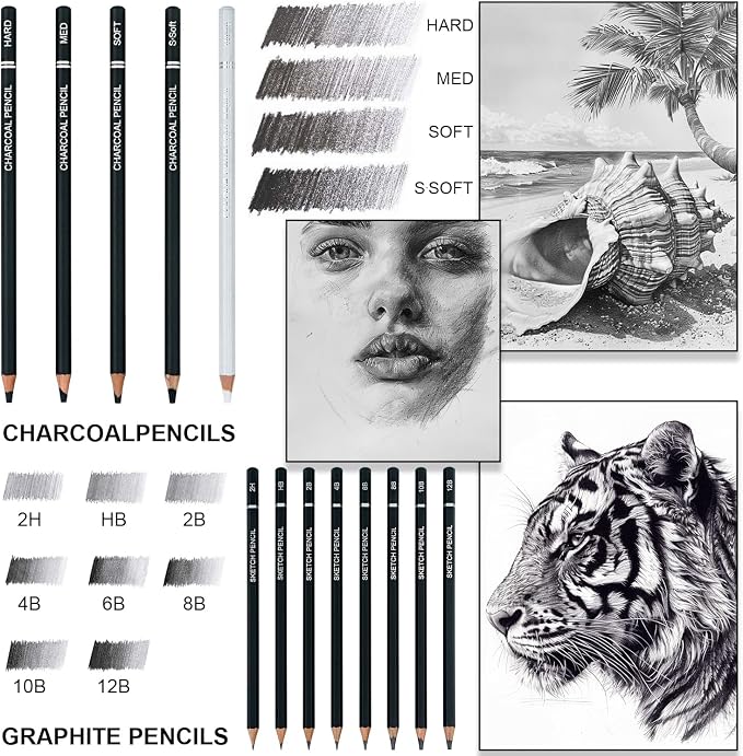 Aenir Charcoal Pencils for Drawing, Set of 22, Professional Drawing Sketch Pencils, Charcoal Art Supplies for Sketching, Shading, Artist Charcoal Supplies for Beginners & Pro Artists.