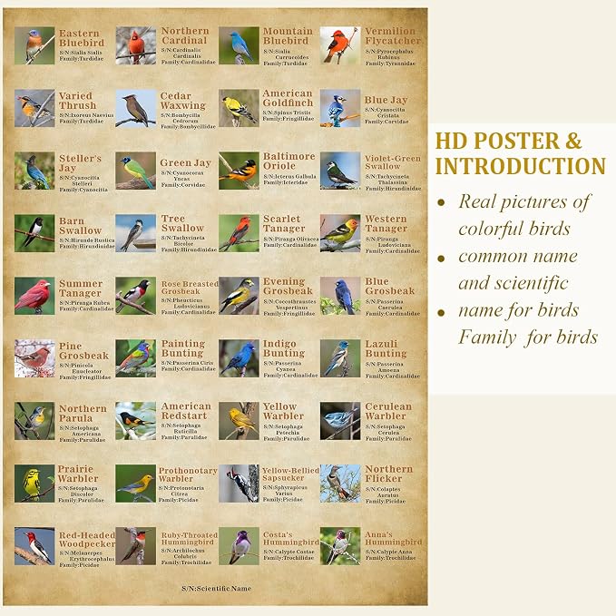 Vintage Bird Puzzles for Adults 1000 Pieces, Animal Hummingbird Puzzle of 36 Colorful Birds in North America, Bird Jigsaw Puzzles Nature