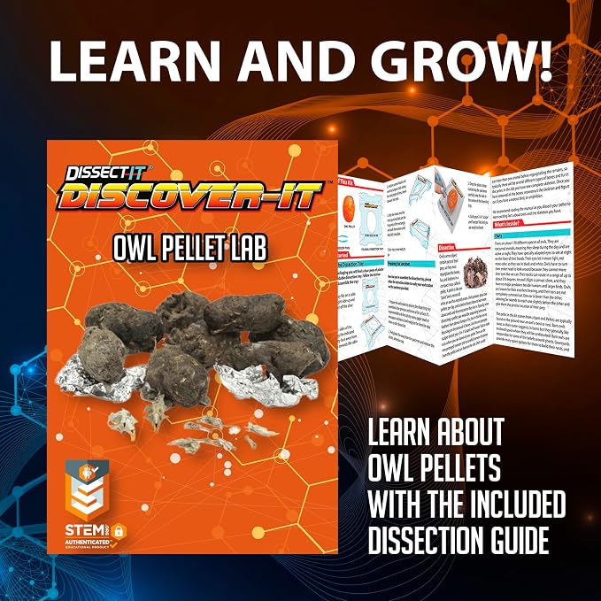 Discover-It Dissection Kit for Kids, Owl Pellet Science Lab Kit to Learn About Animals, Science Toys for Kids Ages 5 and Above