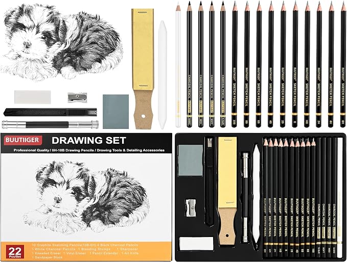 Drawing Sketch Pencil Set of 22 - Graphite Pencils (6H-10B), Black & White Charcoal Pencils, Art Pencil Kit for Sketching, Shading & Blending - Ideal for Artists, Adults, Teens, Beginners