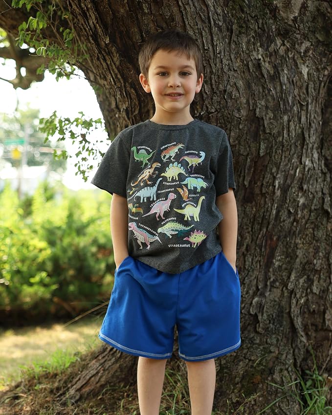 Lovekider Cotton Shirt for 3-6T Boys Truck Dinosaur Toddler Kids T-Shirt Short Sleeve Excavator Construction T-Rex Tee Shirts