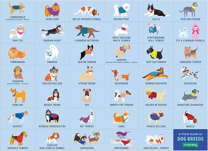 Mudpuppy Doggie Days — 64 Piece Search & Find Puzzle Jigsaw Puzzle Featuring A Variety of Dogs and Puppies and Over 40 Hidden Images to Find for Ages 4+