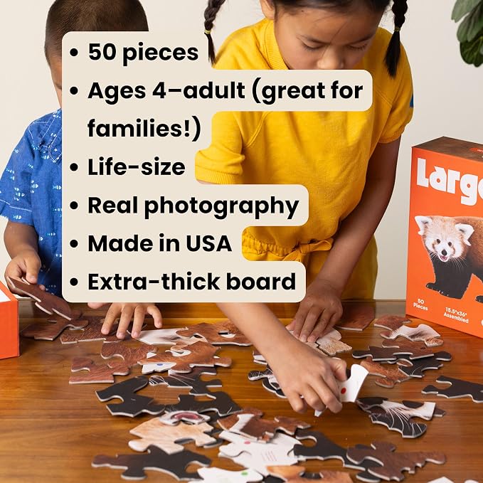 Red Panda Trivia Puzzle - 50 Piece Life-Size Red Panda Puzzle with Wildlife Trivia on Every Piece | Educational Animal Gift for Kids & Families | Livuzzle