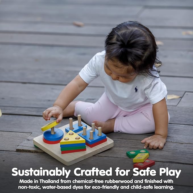 PlanToys® Wooden Shape Sorter Toy for Toddlers | Montessori Educational Learning Toy for Color & Shape Recognition | Eco-Friendly Fine Motor Skills Toy for Preschool Math & STEM Development