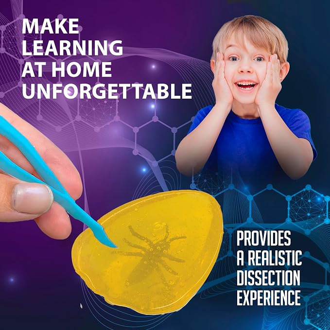 Discover-It Dissection Kit for Kids, Synthetic Amber Science Lab Kit to Learn About Insects, Science Toys for Kids Ages 5 and Above